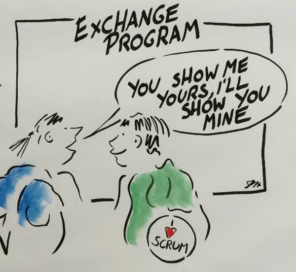 Exchange-Programme
