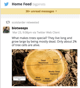 Dead-Tree-tweet-cropped